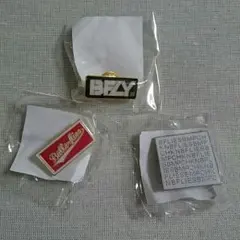 BUMP OF CHICKEN   ピンバッジ