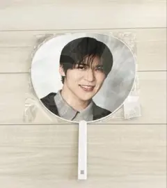 Snow Man Dome Tour 2024 RAYS めめ　目黒蓮　うちわ