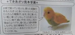 ニードルフェルト セキセイインコ 制作キット