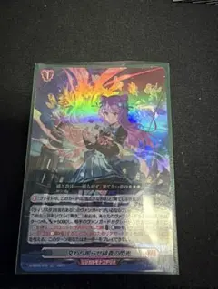 交わり照らせ緋蒼の閃光