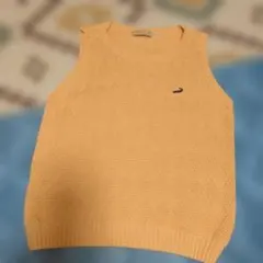 最終値下げ　クロコダイル　サイズM　ニットベスト