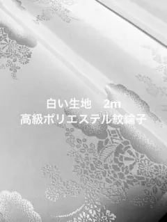 Item thumbnail for item 2ed48c45-1d24-4911-854a-b9233b63c013