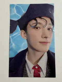 SEVENTEEN ドギョム ユニバ 特典 17 is right here