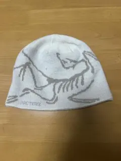 2025年最新】arc'teryx / bird headの人気アイテム - メルカリ