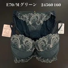 グリーン　E70/M ナルエー　ブラショーツセット 24560 160のサムネイル