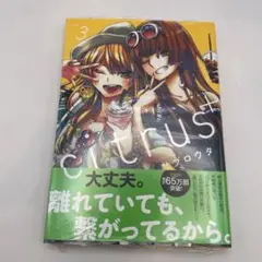 新品未開封シュリンク付き　citrus + 3