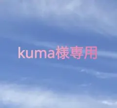 kuma様専用出品