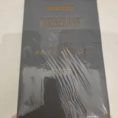SPRING 9月号 特別付録 PEANUTS スヌーピー キルティングポーチのサムネイル