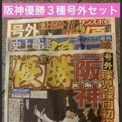 阪神優勝　号外３種コンプセット
