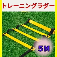 Item thumbnail for item d789af7d-159f-43cd-9722-409ed69b3df3