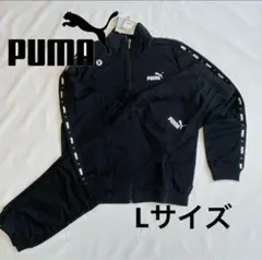 プーマ　ジャージ 上下 セットアップ TAPE ポリ トレーニングスーツ 新品