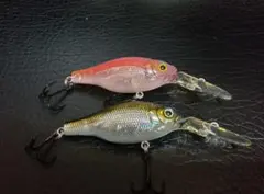 Item thumbnail for item 9c2f2e93-a384-4f72-bbb5-359773fa11a5