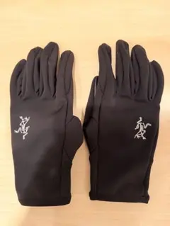 Arc’teryx GORE-TEX 手袋 ブラックのサムネイル