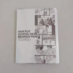ハイキュー スクールデイズブロマイド