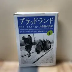 （2856）ブラッドランド 下