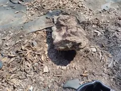 天然石 不規則な形状 園芸装飾用