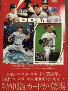 Item thumbnail for item e1a597bb-b3e8-4fe3-84bd-f5c38a0981b5