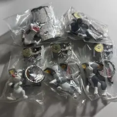 新品 ジョジョの奇妙な冒険 イギー キーホルダー 全5種 セット
