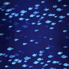 #XmasセールNo.164