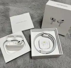 Apple AirPods Pro 片耳 右耳