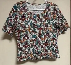 【美品】SCAPAカットソー トップス Tシャツ42のサムネイル