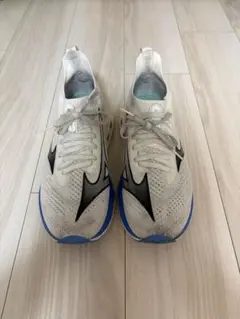 Mizuno NEO ZEN ミズノ ネオゼン ランニングシューズ 厚底