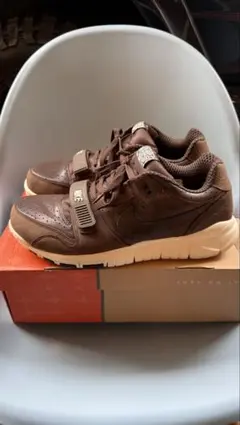 Nike TRAINER DUNK LOW / STUSSYデッド30cm