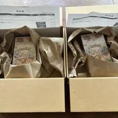 ポケモンカードゲーム テラスタルフェスEX シュリンク付　2ボックス　新品