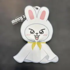 StrayKids リノ リービット ミニうちわキーホルダー