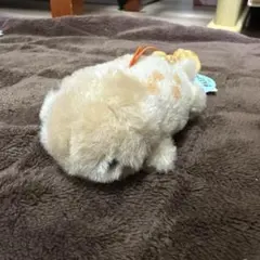 オーさんしょうさん　VMC オオサンショウウオ