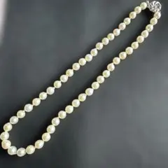 Item thumbnail for item 1699fbde-fc45-4fae-a9a3-26befb0013f2