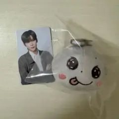 RIIZE ぬいぐるみバッジ リズコ トレカ付き 2025年最新】ぬいぐるみバッジ riizeの人気アイテム - メルカリ