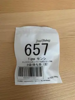 [新品未開封] figma センシ　特典のみ