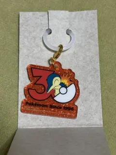 ポケモン　30周年ロゴマスコット　ヒノアラシ