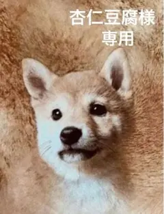 ＊杏仁豆腐＊様 リクエスト 2点 まとめ商品