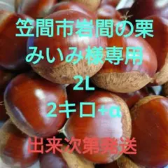 ちったみ様　栗　2キロ 笠間市岩間の栗 ブタ子様専用 2L 1.2キロ+α - メルカリ
