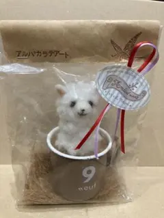 アルパカラテアート