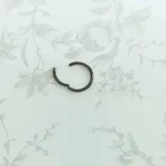 Item thumbnail for item 2d6815a7-876b-4eb5-be4f-f5a2e28c1925