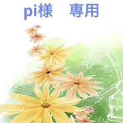pi様　専用ページ