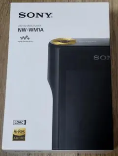 美品 SONY ウォークマン NW-A306 ブルー （同色のシリコンケース付