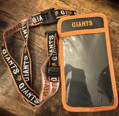 Item thumbnail for item 88312f5e-239d-4da3-ad32-2277d09f7c21