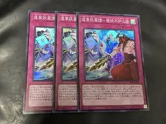Piyokokeko様 リクエスト 2点 まとめ商品