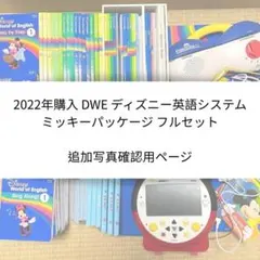 2026年最新】dwe ミッキーパッケージの人気アイテム - メルカリ