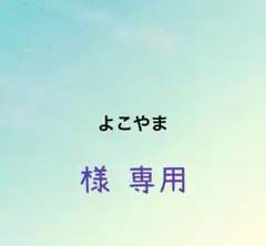 よこやま様 リクエスト 2点 まとめ商品