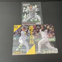 プロ野球チップス 阪神タイガース 青柳晃洋 中野拓夢 ノイジー 優勝