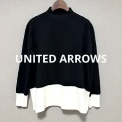 ★限定タイムセール★美品♡UNITED ARROWS♡定価2.2ハイネックニット