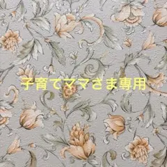 専用ページ