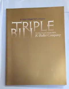 Item thumbnail for item 295495a4-9503-46fe-a3af-e5a042359c18