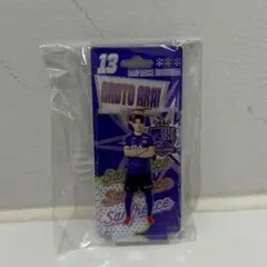 新井直人　ブリスター風キーチェーン　サンフレッチェ広島　ガチャ