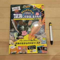 Item thumbnail for item 31f46be2-ba42-4c11-aebc-4b2d11178f8c